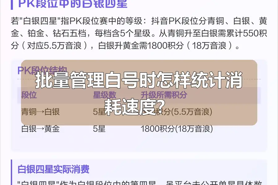 批量管理白号时怎样统计消耗速度？