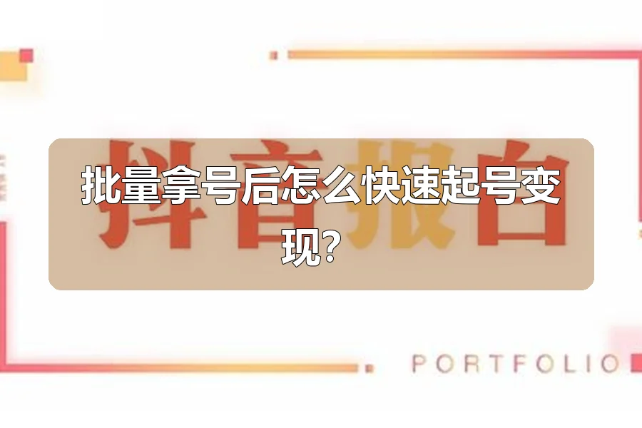 批量拿号后怎么快速起号变现？